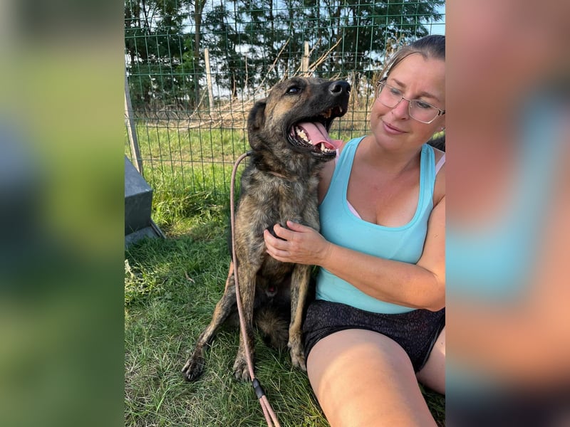 Samy, geboren 05.08.2022, 56cm sucht sein Zuhause