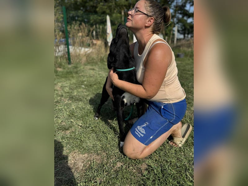 Osiris, geboren 04.02.2023, 57cm sucht sein Für-immer-Zuhause