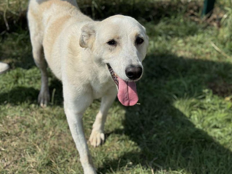 Simon sucht Dich geb.03./21