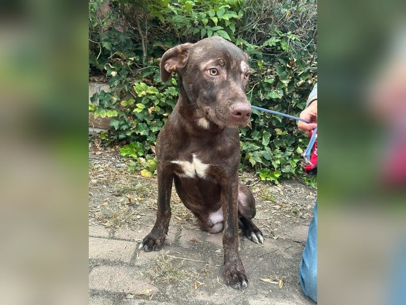 Philip, geb. 28.04.2025, 53 cm, sucht nach seinen Menschen