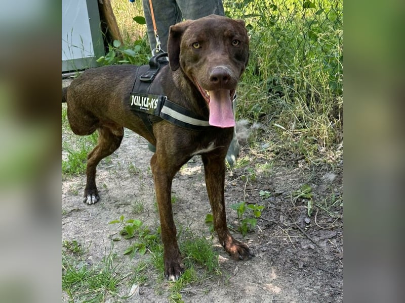 Philip, geb. 04/25, 53 cm wartet auf seine Menschen