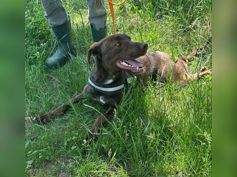 Philip, geb. 04/25, 53 cm wartet auf seine Menschen