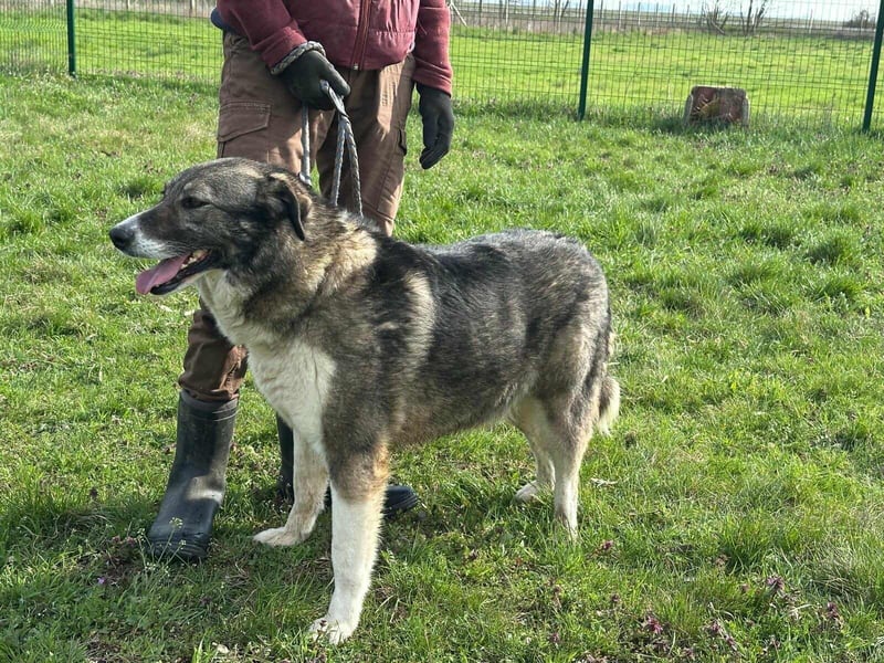 Sunny, geboren 01.12.2019, 63cm sucht ihr Glück