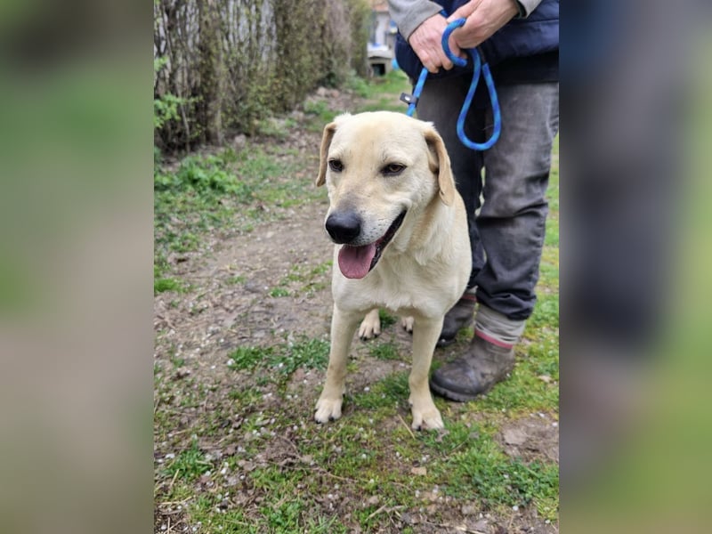 Max, geb. 06.2024, 55cm sucht sein Zuhause