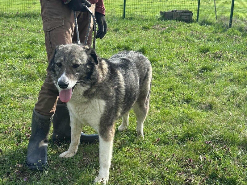 Sunny, geboren 01.12.2019, 63cm sucht ihr Glück