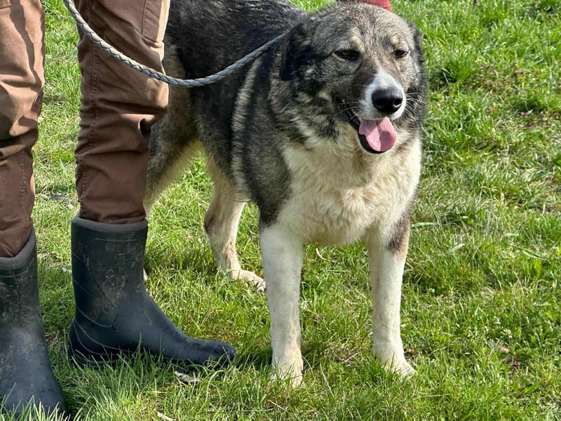 Sunny, geboren 01.12.2019, 63cm sucht ihr Glück