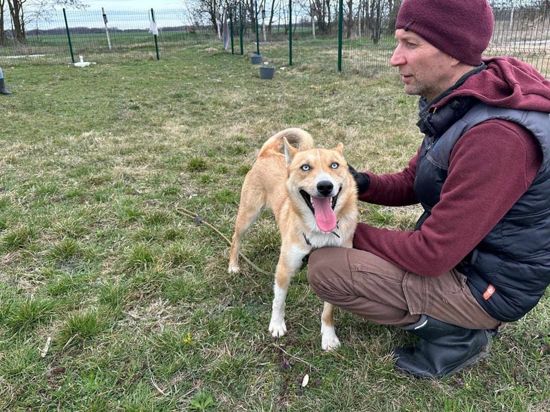 Nico, geboren 01.05.2023, 54cm sucht aktive Menschen