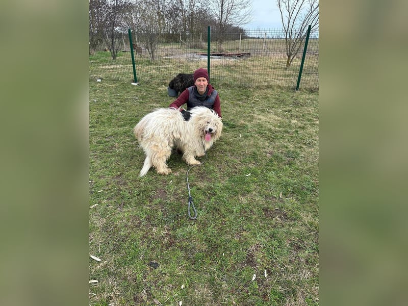 Zelda, geboren 01.06.2022, 62cm sucht ihr Glück