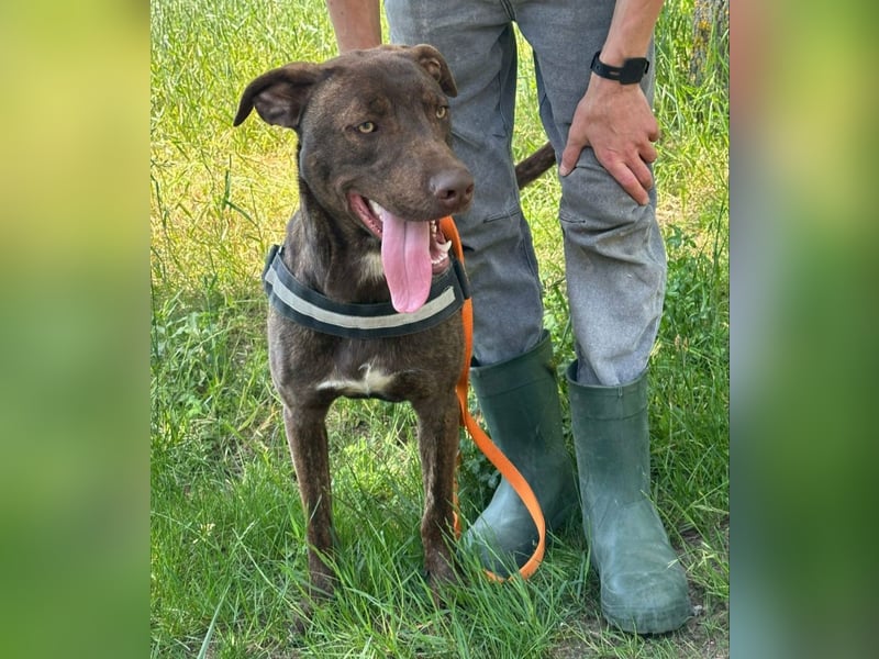 Philip, geb. 04/25, 53 cm wartet auf seine Menschen