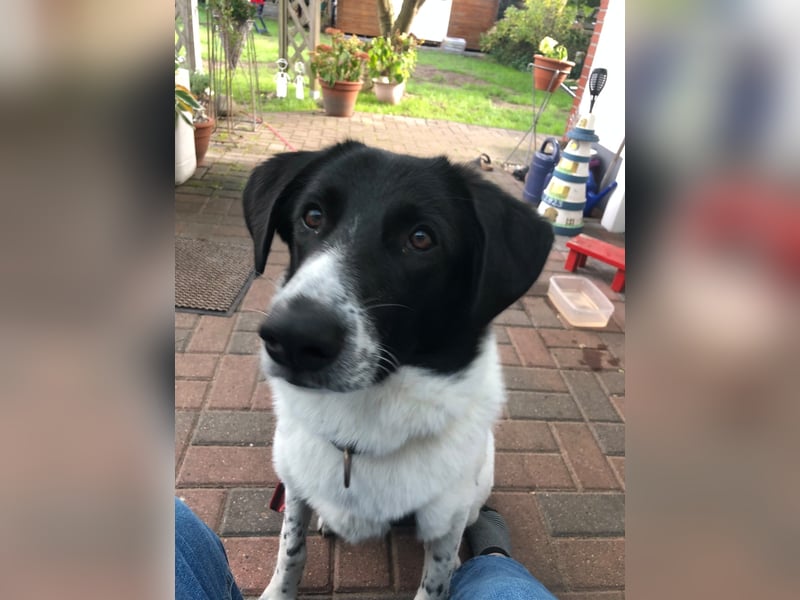 Ella, geboren 01.2025, 60cm sucht neues Zuhause