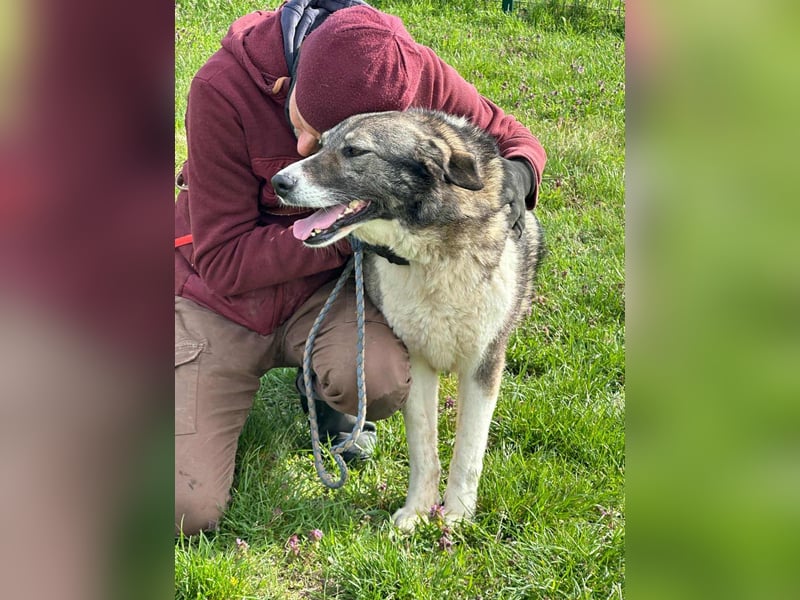 Sunny, geboren 01.12.2019, 63cm sucht ihr Glück