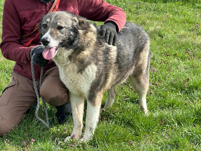 Sunny, geboren 01.12.2019, 63cm sucht ihr Glück