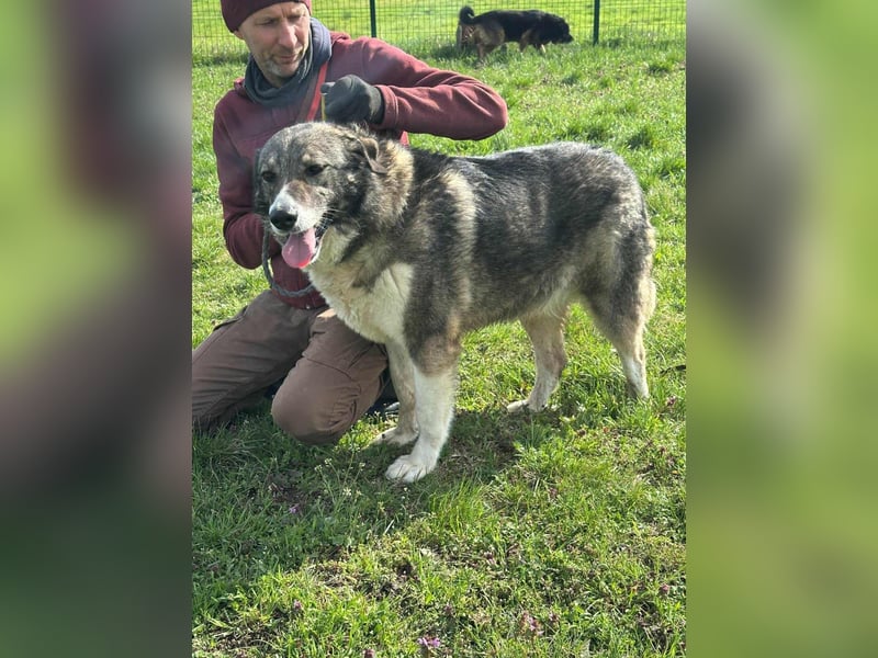 Sunny, geboren 01.12.2019, 63cm sucht ihr Glück