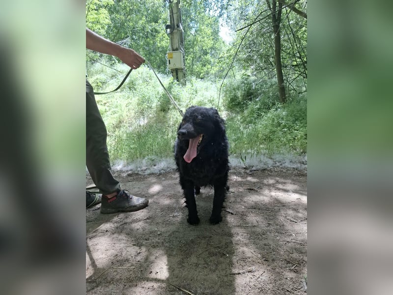 Filip, geb. 03.2024, 55cm sucht geduldige Herzensmenschen
