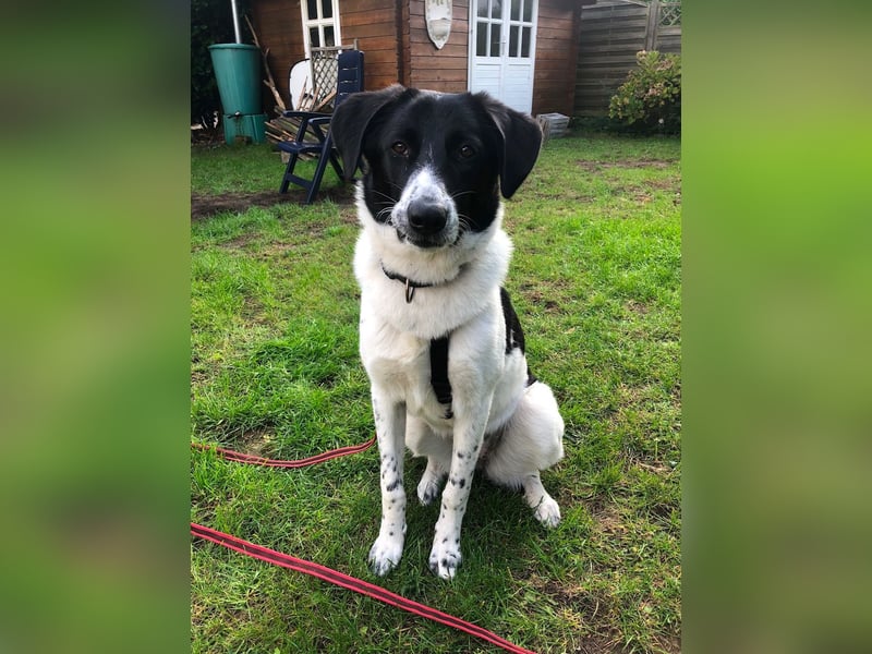 Ella, geboren 01.2025, 60cm sucht neues Zuhause