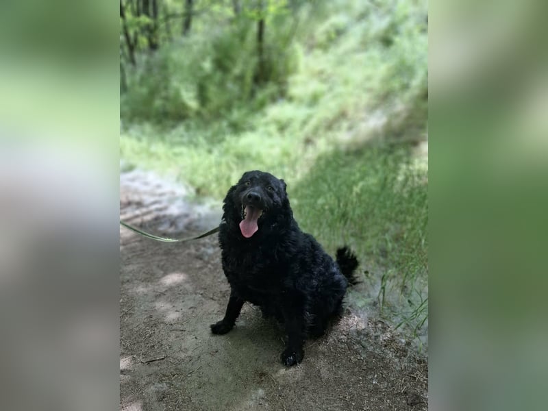 Filip, geb. 03.2024, 55cm sucht geduldige Herzensmenschen