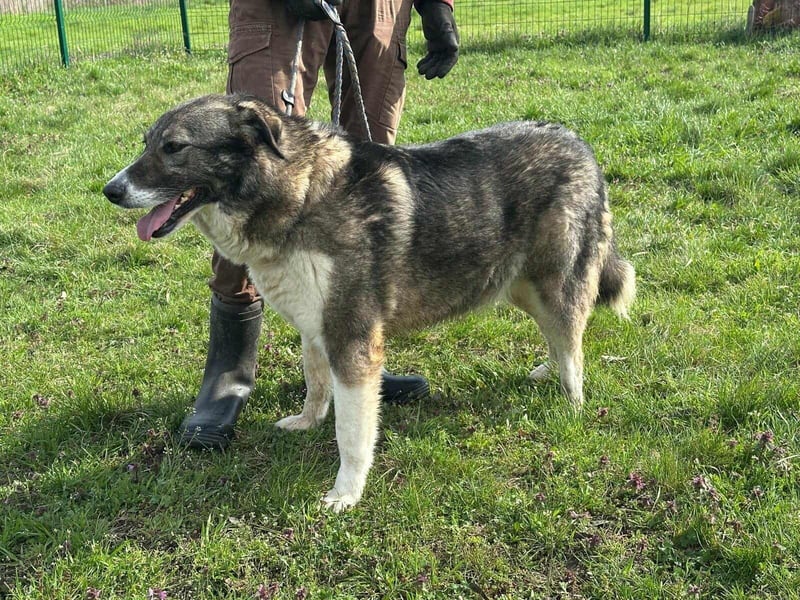 Sunny, geboren 01.12.2019, 63cm sucht ihr Glück