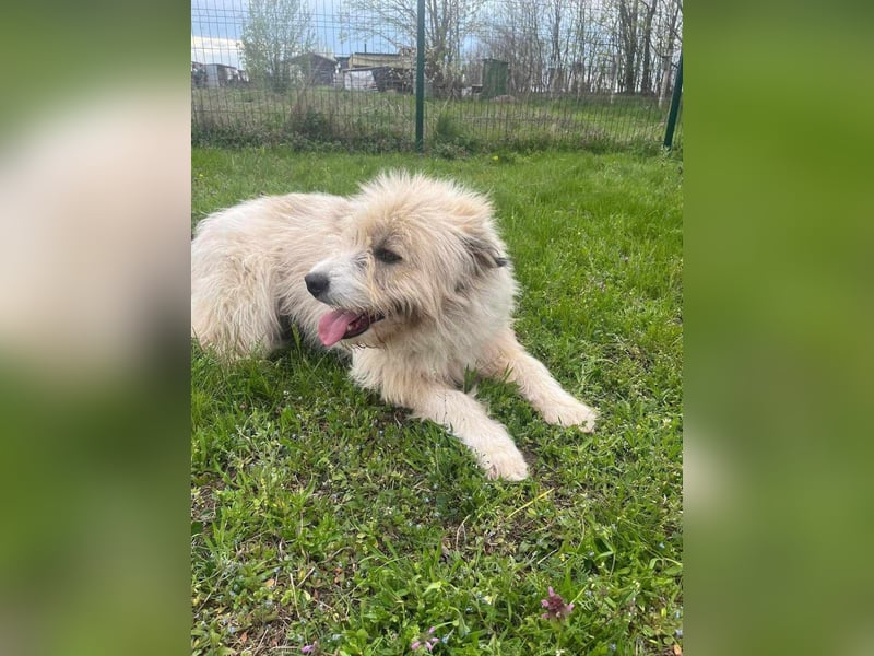 Zelda, geboren 01.06.2022, 62cm sucht ihr Glück