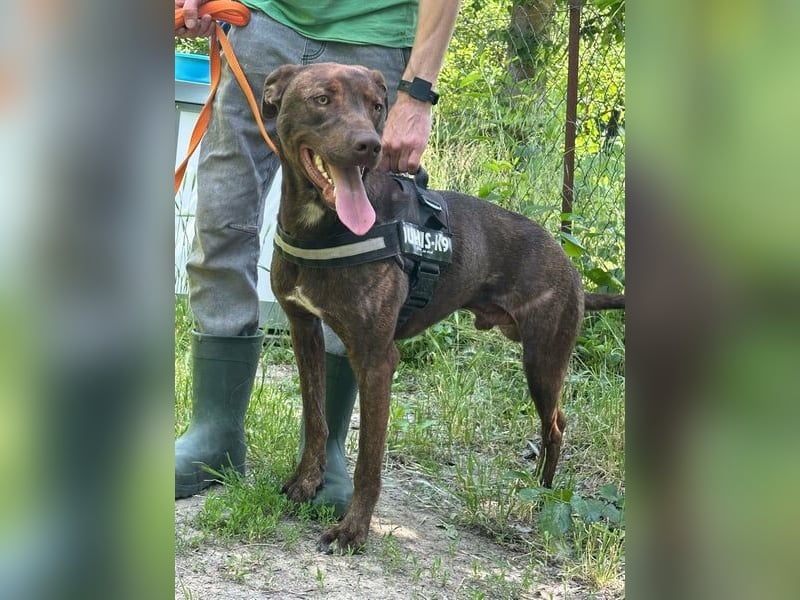 Philip, geb. 28.04.2025, 53 cm, sucht nach seinen Menschen
