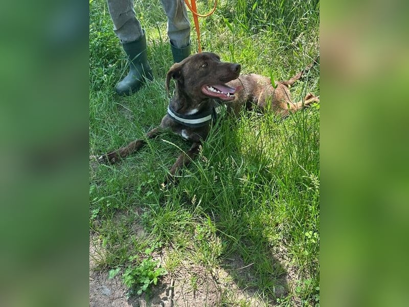 Philip, geb. 28.04.2025, 53 cm, sucht nach seinen Menschen