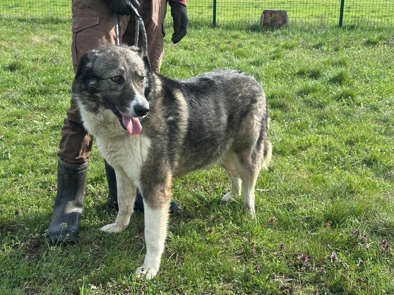 Sunny, geboren 01.12.2019, 63cm sucht ihr Glück