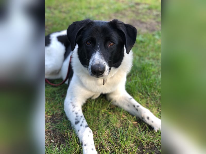 Ella, geboren 01.2025, 60cm sucht neues Zuhause