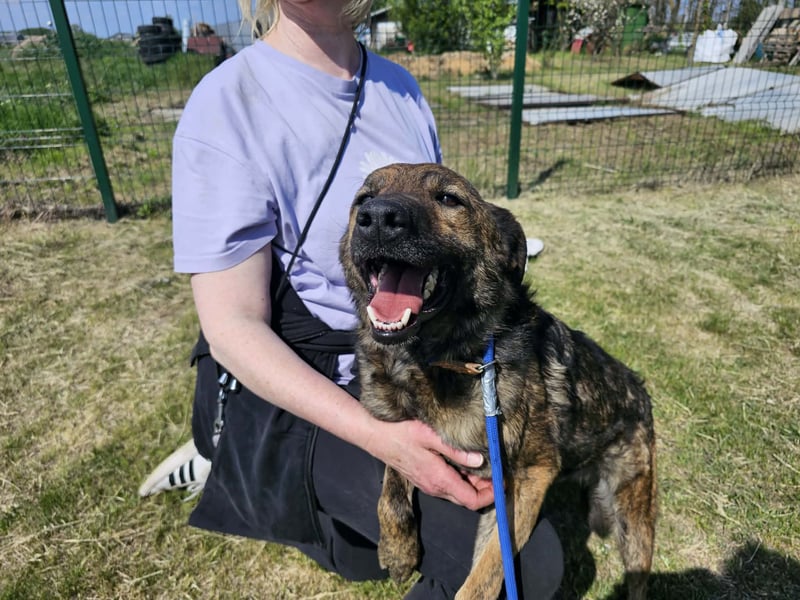 Samy, geb. 08.2022, 56cm, sucht liebevolle Menschen