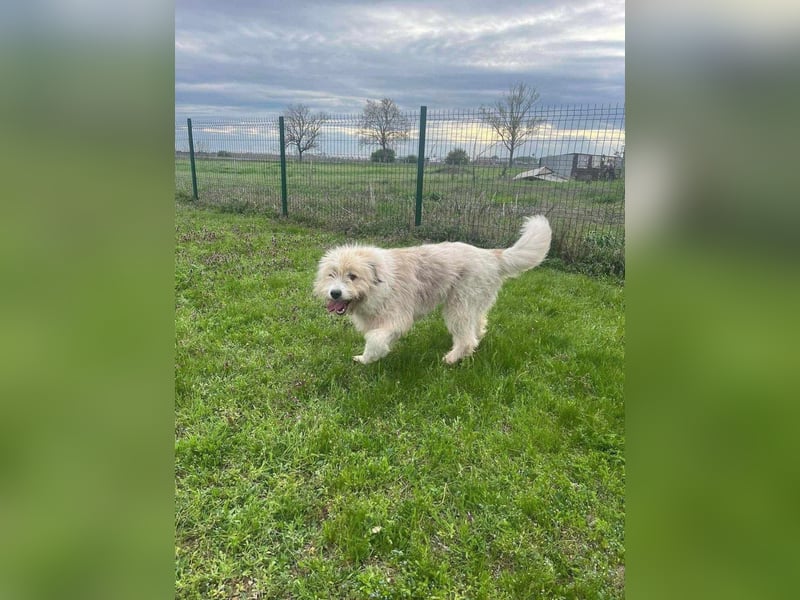 Zelda, geboren 01.06.2022, 62cm sucht ihr Glück