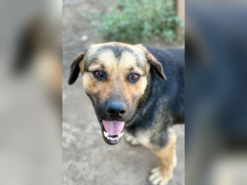 HOOP - Fröhlicher Bub wartet auf seine Lieblingsmenschen