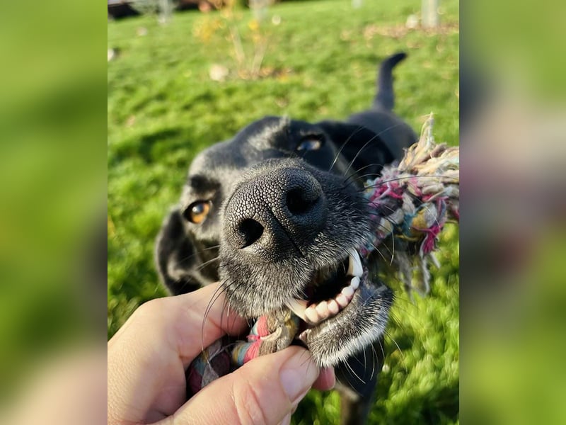 Wunderschöne Mai sucht ihre Familie