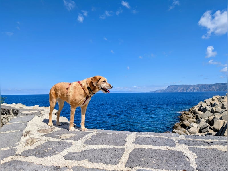 Ein neues Zuhause gesucht