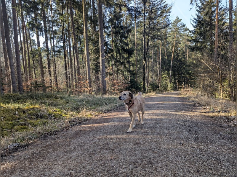 Ein neues Zuhause gesucht