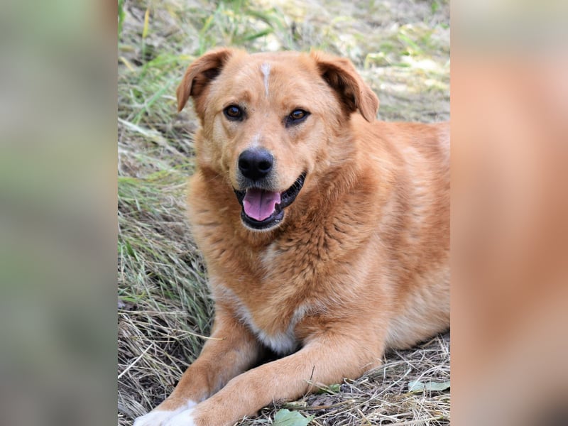 GROGU, ca 60cm bereit die Welt zu erkunden