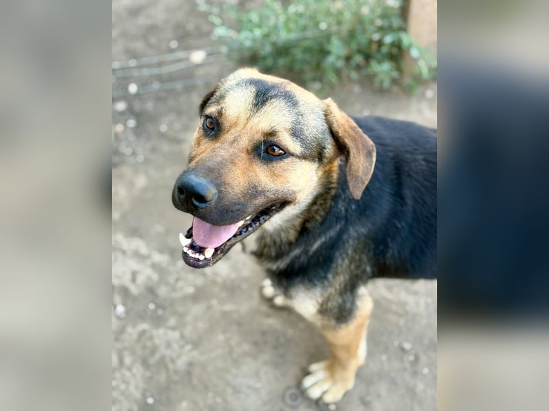 HOOP - Fröhlicher Bub wartet auf seine Lieblingsmenschen