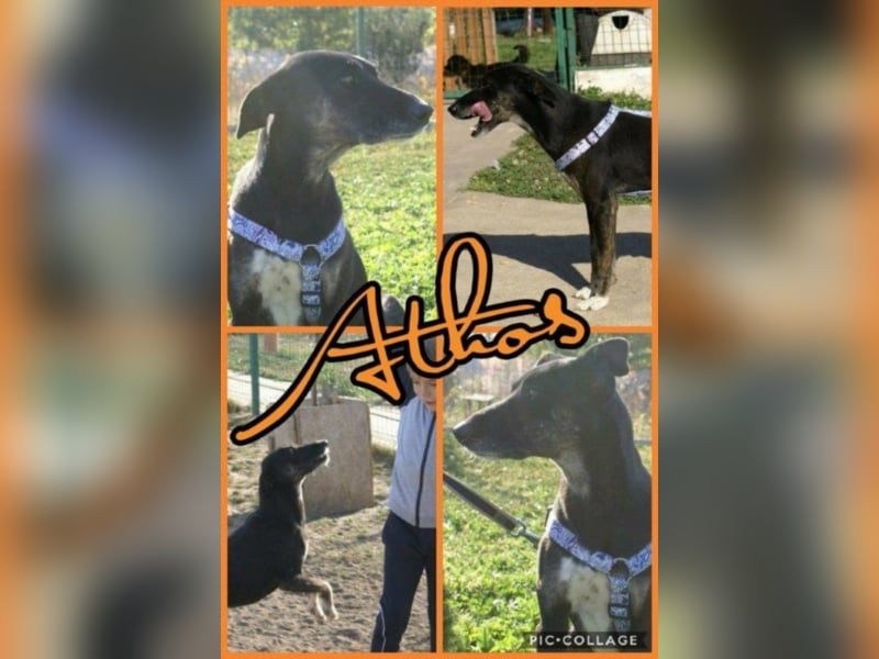 Athos