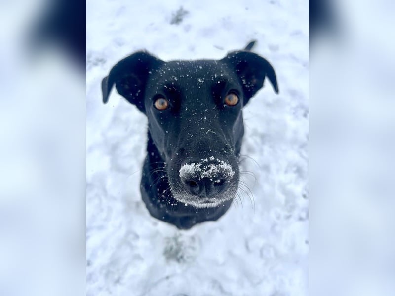 Wunderschöne Mai sucht ihre Familie