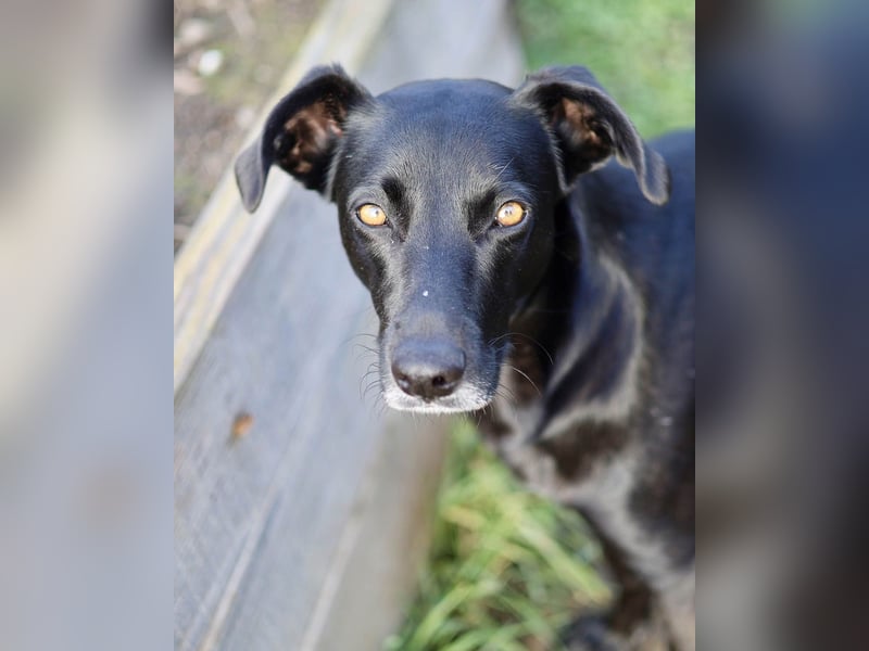 Wunderschöne Mai sucht ihre Familie