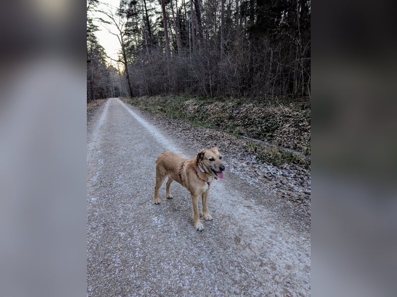 Ein neues Zuhause gesucht