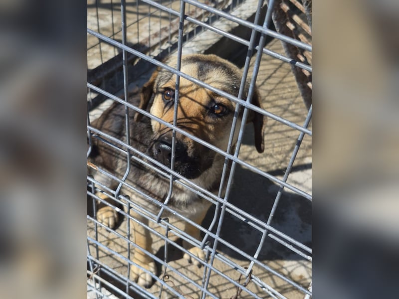 HOOP - Fröhlicher Bub wartet auf seine Lieblingsmenschen