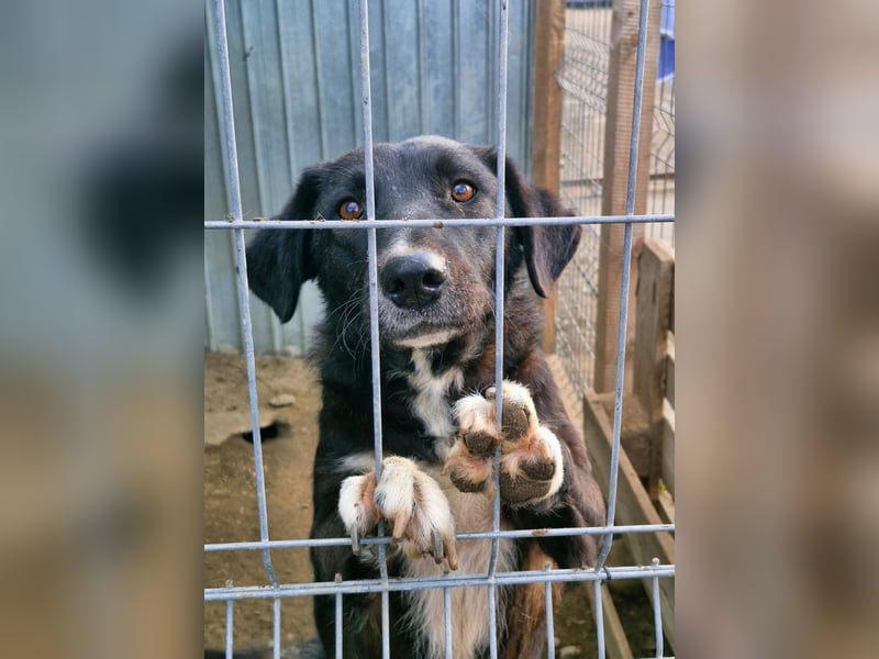 WAYONA - Kämpferin wartet schon so lange auf Ihre Lieblingsmenschen