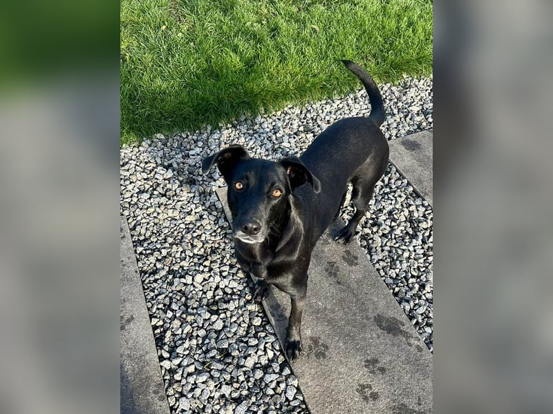 Wunderschöne Mai sucht ihre Familie