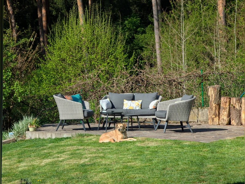 Ein neues Zuhause gesucht