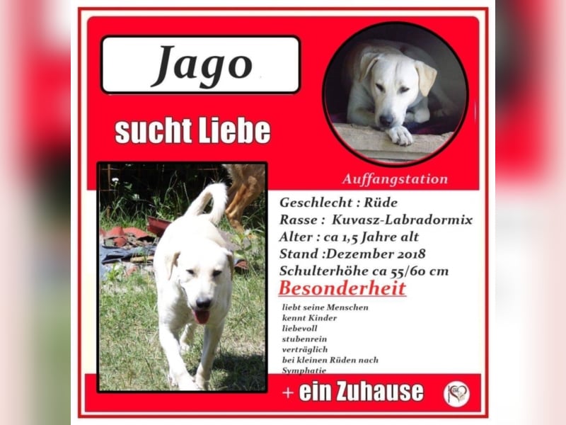 Jago