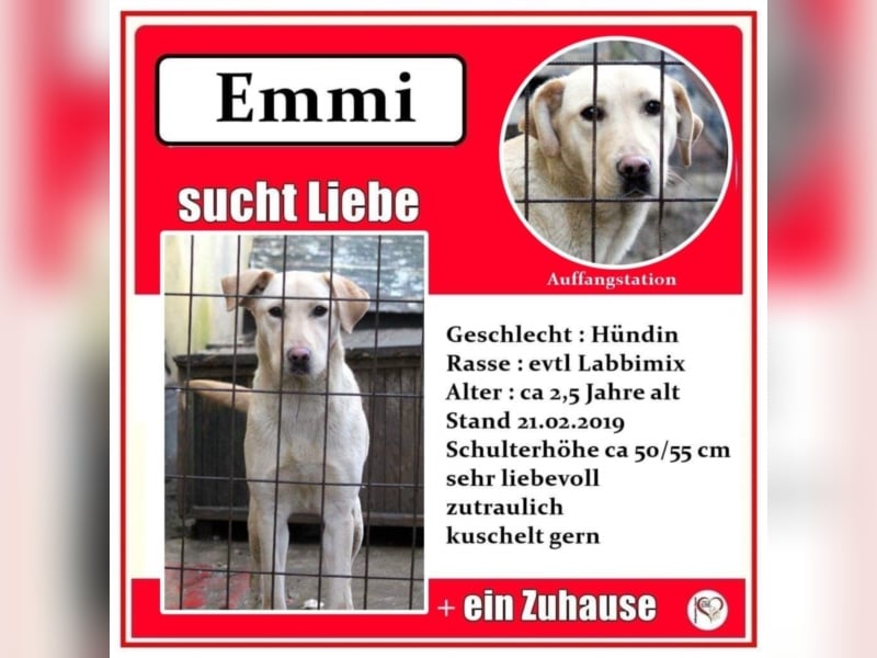 Emmi