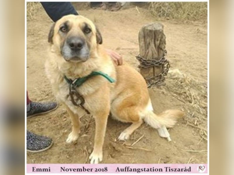 Emmi