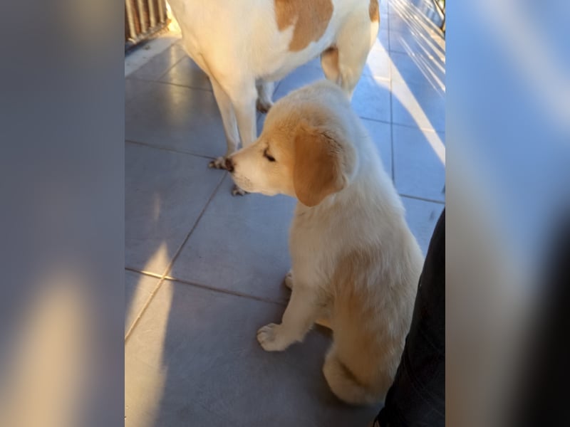 Trevor sucht seine Seelen-Menschen