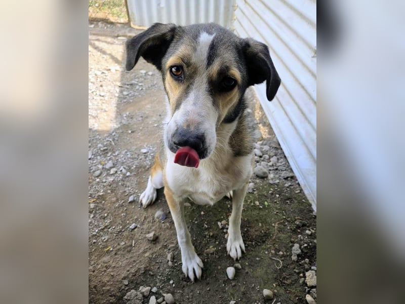 Emma wartet auf ihre Menschen!