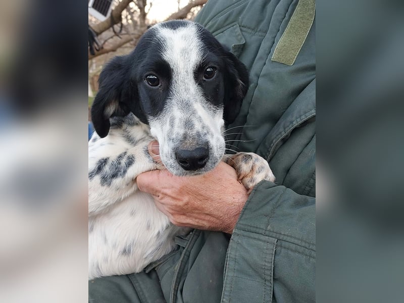 Conny wartet auf ihre Menschen!