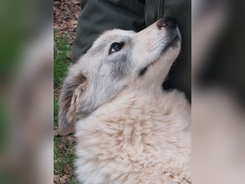 Naya ist auf der Suche nach ihrem Glück