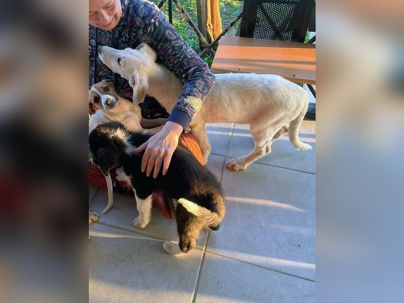 Angel-ein Engel sucht seinen Wirkungskreis